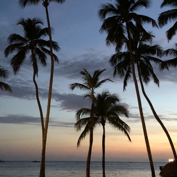 Meet your Posher, Julee - Picture 1 of 1